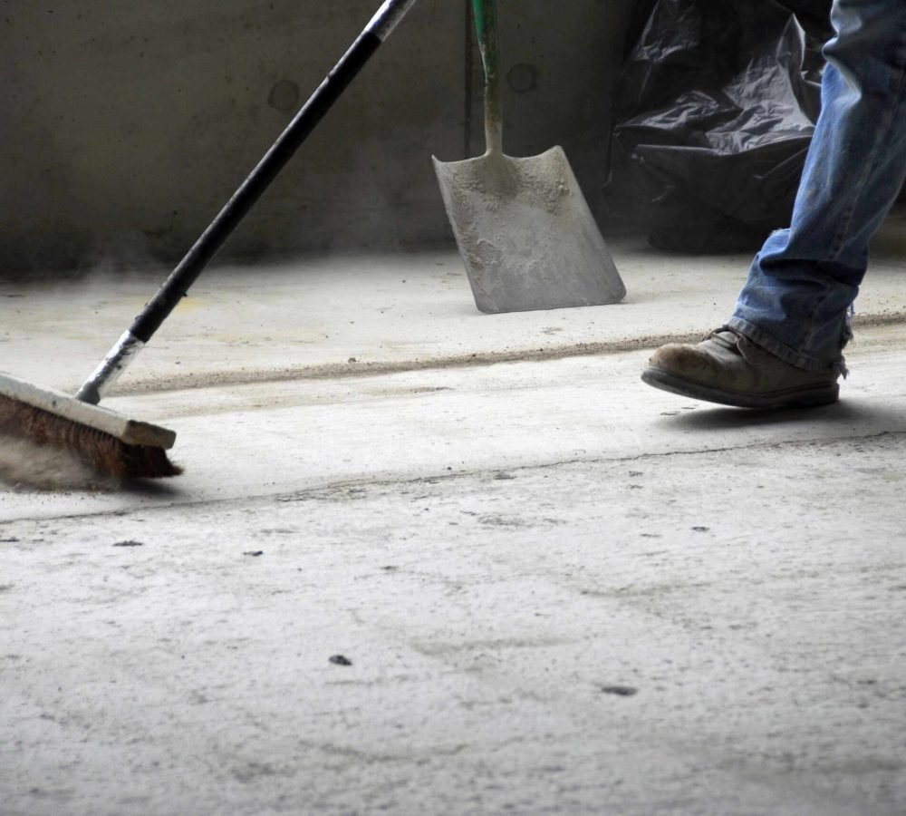 imgi_149_Broom-Dust